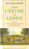 Couverture de Après l’extase la lessive