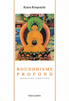 Couverture de Bouddhisme profond