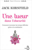 Couverture de Une lueur dans l’obscurité