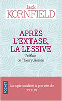 Couverture poche de Après l’extase la lessive