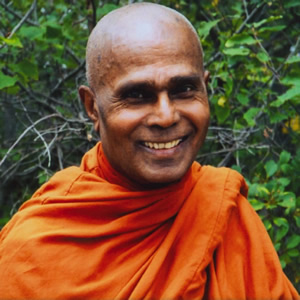 Portrait de Bhante Henepola Gunaratana