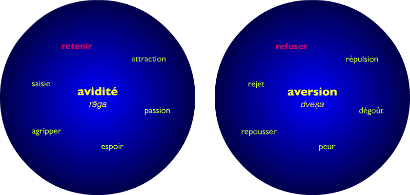 Dualité des deux poisons avidité et aversion