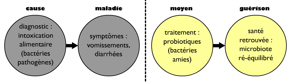 Le traitement de la maladie